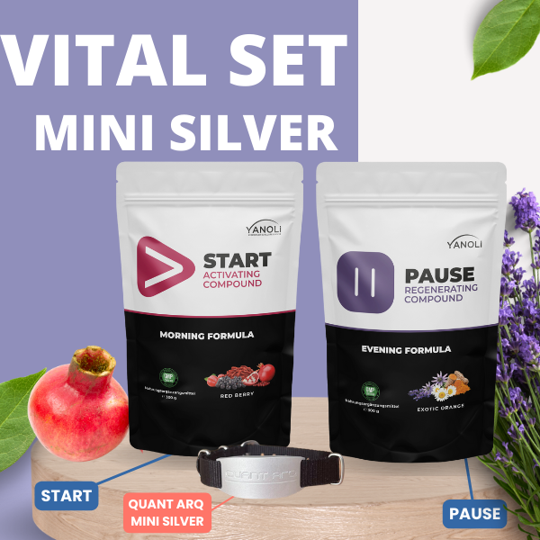 Vital Set Mini Silver*